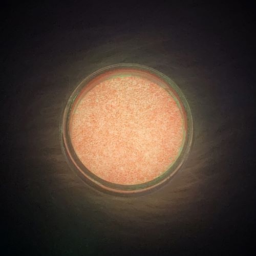 Iris Glitter Peach fuchsia(5-10g)